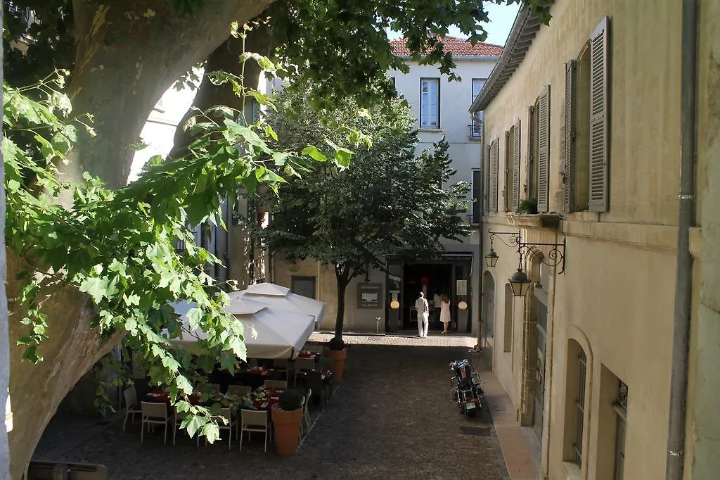 Studios Entre Le Pont D' Avignon Et Le Palais Des Papes France